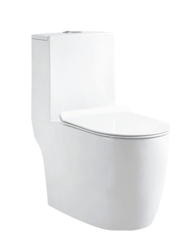 Siphon type one-piece toilet